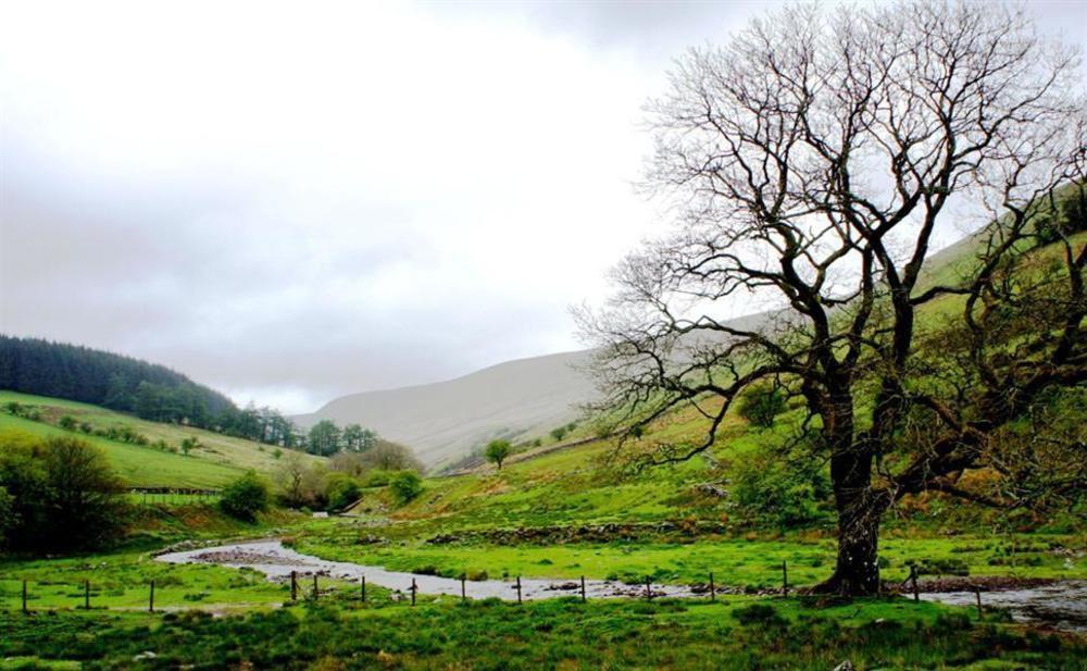 Nant Ddu Lodge Hotel & Spa マーサー・ティドビル エクステリア 写真